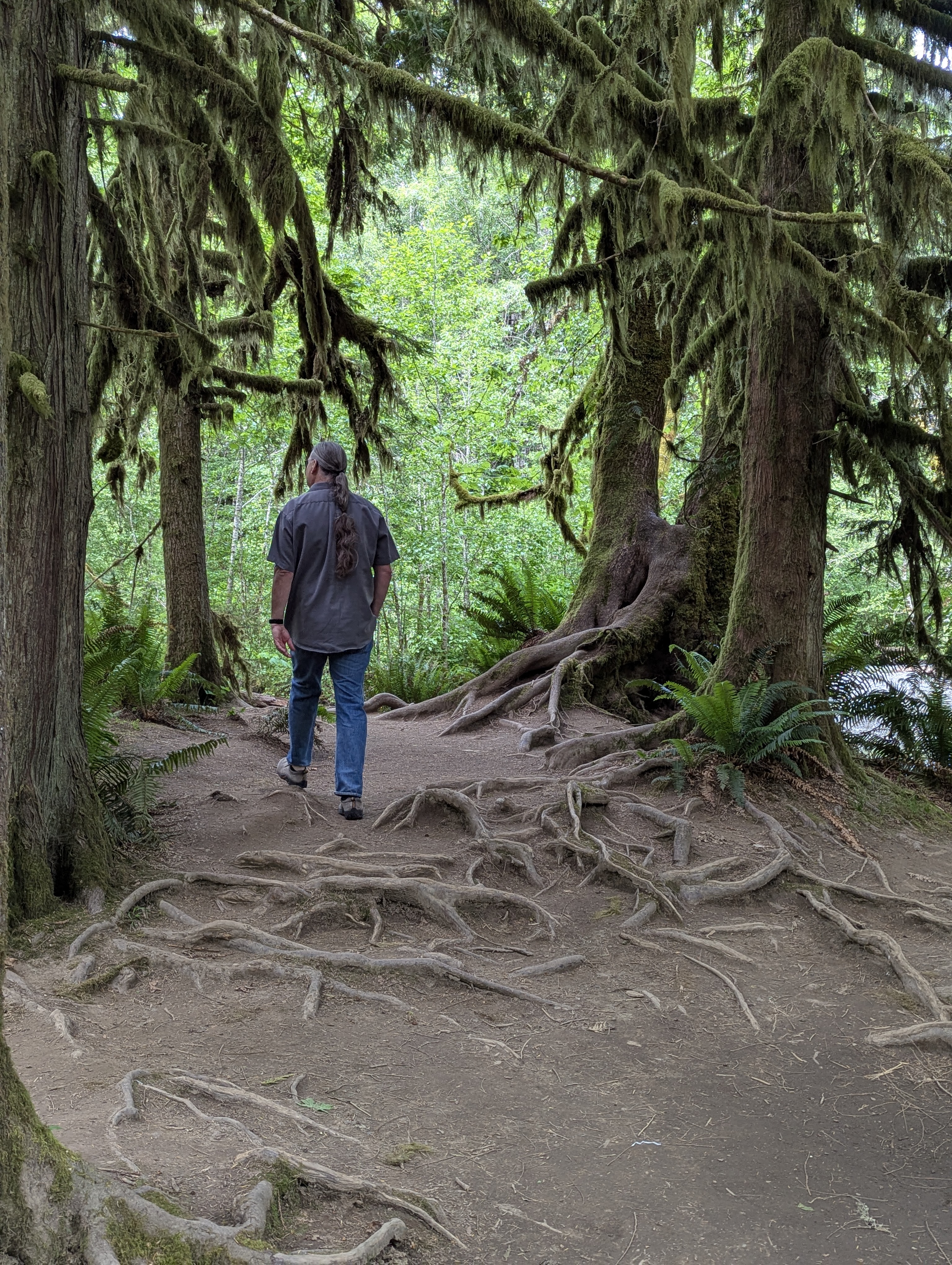 Birthday Trip to Canada, Cathedral Grove, Vancouver Island